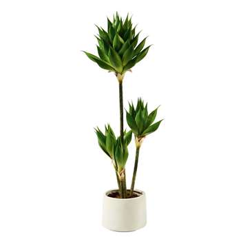 ALHAMBRA Outdoor Plastic Artificial Plant (33 x 130cm)