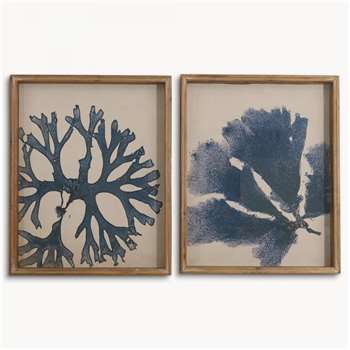 Brookby Set of 2 Framed Coral Wall Art (54 x 44cm)