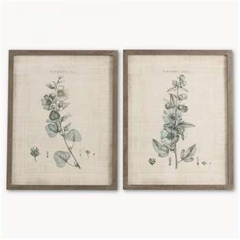 Brookby Set of 2 Framed Lavatera Wall Art (H70 x W55 x D1.8cm)