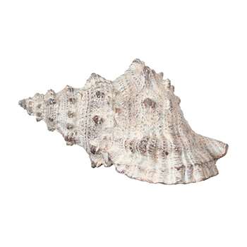 Faux Murex Shell - Natural (11 x 21cm)