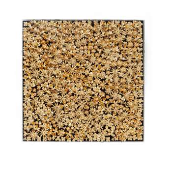 Gold flower Art (120 x 120cm)