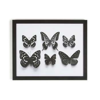 Graham & Brown Black Botanical Butterflies Framed Print (40 x 50cm)