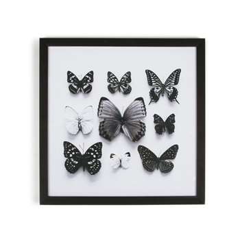 Graham & Brown Black Butterfly Studies Framed Print (50 x 50cm)