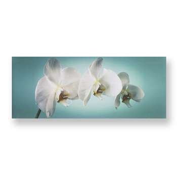 Graham & Brown Teal Orchid Wall Art (H40 x W100 x D3cm)