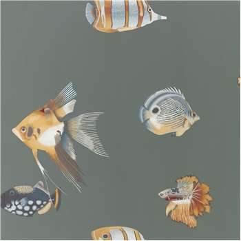 Harlequin Kamanu Wallpaper, Amber/Slate 111648 (H1005 x W68.6cm)