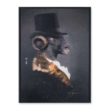 ibride - Framed Aluminum Print - Mille De Maupin - Limited Edition (74 x 56cm)