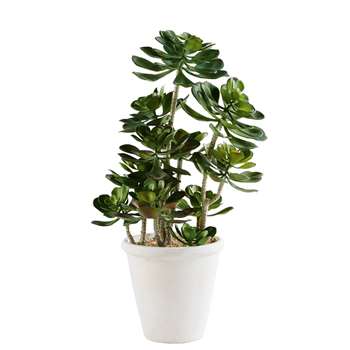 JANNA Outdoor Artificial Grass Plant in Pot (H68 x W32 x D32cm)