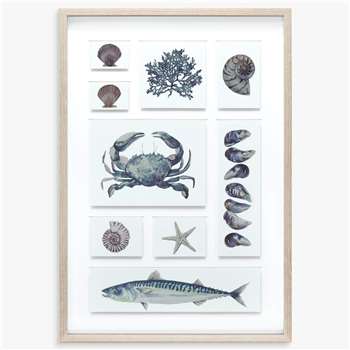Maria Allen - Coastal Collection Framed Print & Mount, Grey (H71 x W50cm)