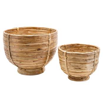 Safari Set of 2 Cane Planters