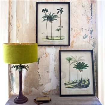 Set of Two Framed Palm Tree Prints (H56 x W41cm)