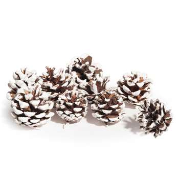 Snow-Coated Pine Cone Sachet (H15 x W15cm)